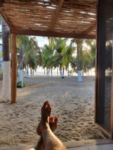 Exclusiva Casita frente al mar