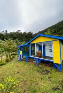 Tamana Guadeloupe - Satgé