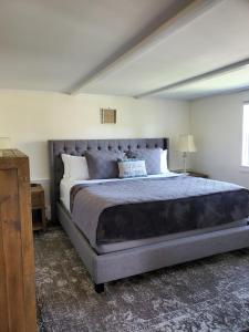 One-Bedroom Suite room in Farm Road Estate