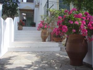 Pelagos Skopelos Greece
