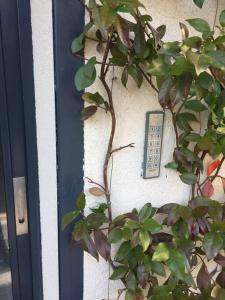 LA FAVORITE - Centre de Cassis - Climatisation