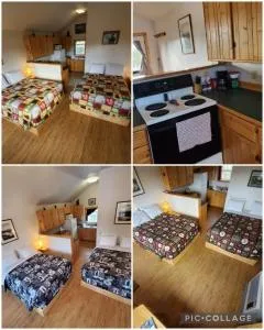 Denali's Alaskan Spruce Cabins - Healy