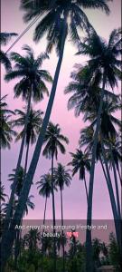 Se SE dHomestay Kelulut Marang