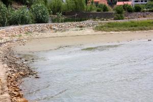 Apartments with parking space Palit, Rab - 18900