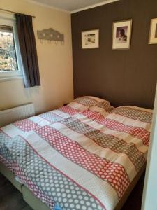 Forest Family 6 persoons op 5 sterren park