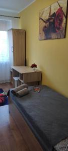 HOSTEL Róża