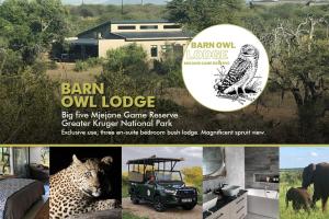 Barn Owl Lodge, Mjejane Game Reserve, Greater Kruger Park