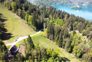 Bled Straza House 