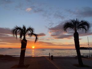 Appartements L'appart de la mer, tout a pied, la plage, et la tranquillite : photos des chambres