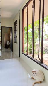 Bannamhoo Bungalows