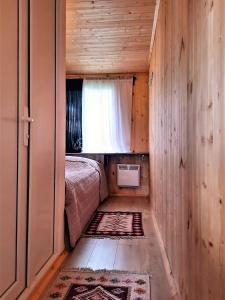 Tiny House Kazbegi