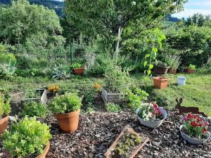 Maisons de vacances Grande et belle maison. Jardin. Lac des Sapins. : photos des chambres