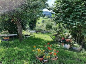 Maisons de vacances Grande et belle maison. Jardin. Lac des Sapins. : photos des chambres