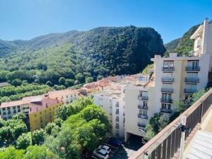 Appartements Studio Amelie-les-Bains-Palalda, 1 piece, 2 personnes - FR-1-703-118 : photos des chambres