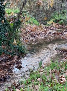Meditation Olive House