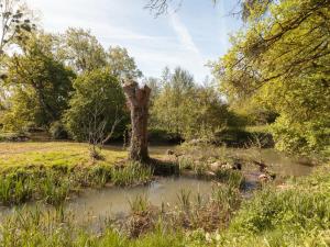 Maisons de vacances Holiday Home Moulin De Mois by Interhome : photos des chambres