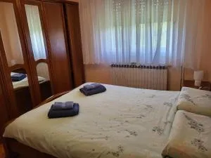 Apartman Martina - Smiljan