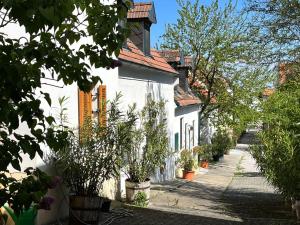 Apartment Hofgasse-3 by Interhome