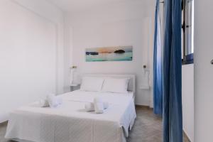 Zandre shiny apartment