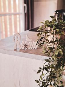 Mobile home Tinkara Drage