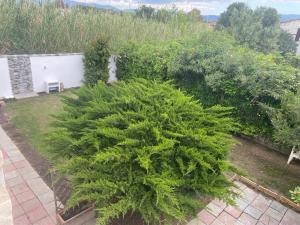 Appartamenti Sant'Andrea img75