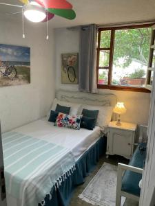 House with Big Garden