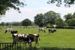 Ferienwohnung Fresenhuus 1, FeWo Vermittlung Nordsee