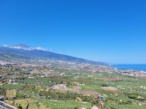 Another Day in Paradise