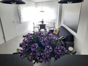 la suite oasi di relax e comfort IUN R1091 img14