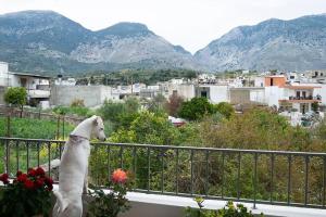 Merastri Cretan Home