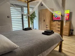 APARTAMENTY Kudowa Zdrój - Słone - Słone