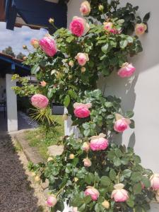Sejours chez l'habitant chambre independante : photos des chambres