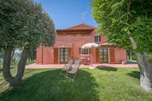 Mimosa - Pieve di Santa Luce