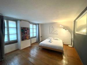 Appartements Spacious apartment in the heart of the center : photos des chambres