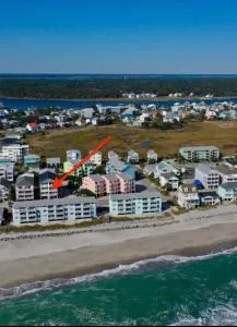 Swanky Seahorse - Myrtle Sound