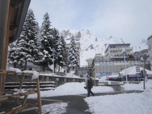 Appartements Appartement d'une chambre avec balcon amenage a Eaux Bonnes a 9 km des pistes : photos des chambres