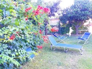 Modern apartment with mountain view - 80 m² - Canosa Sannita - Vacri