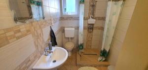 Holiday home in Siofok - Balaton 43605