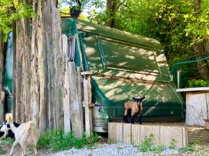 Campings Caravane en pleine nature a l’elevage du Roc : photos des chambres