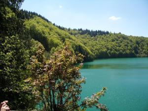 Chalet charmant à Saint-Gènes-Champespe avec parking privé