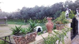 Charming House in Siġġiewi + Jacuzzi