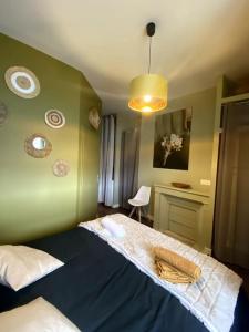 Appartements Velvet - Centre Historique - Parking Hotel Dieu : photos des chambres