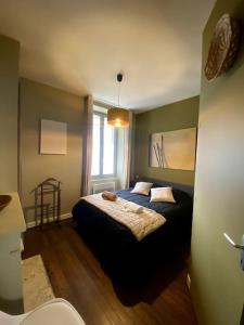 Appartements Velvet - Centre Historique - Parking Hotel Dieu : photos des chambres