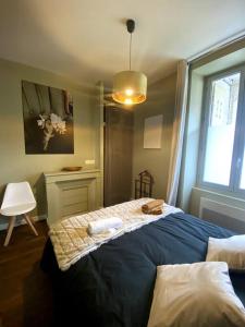 Appartements Velvet - Centre Historique - Parking Hotel Dieu : photos des chambres