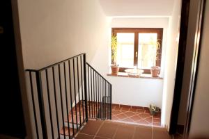 One bedroom appartement with wifi at Nicolosi