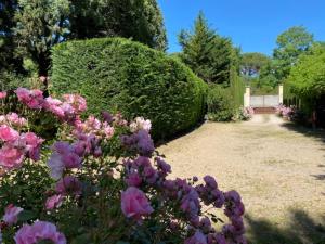 Maisons de vacances Mas la Pauline Gites de charme & roulotte : photos des chambres