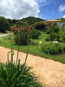 Villas Villa de 2 chambres avec vue sur la mer piscine partagee et jardin amenage a Serra di fiumorbo a 4 km de la plage : photos des chambres