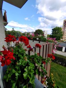 Loft House Sopot Apartament