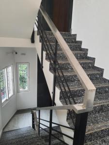 Auro Maison