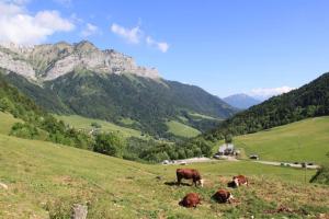 Appartements GITE Didine : photos des chambres